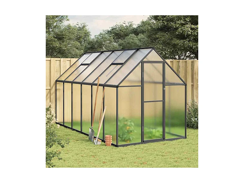 Serre avec cadre de base anthracite 334x169x195 cm aluminium