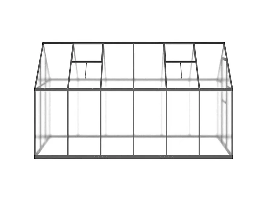 Serre avec cadre de base anthracite 334x169x195 cm aluminium