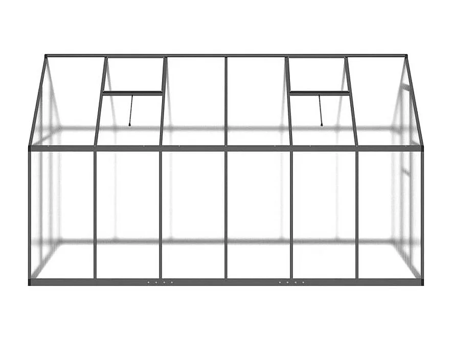Serre avec cadre de base anthracite 334x169x195 cm aluminium