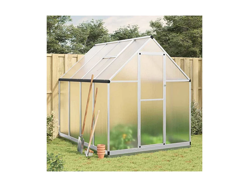 Serre avec cadre de base argenté 224x169x202 cm aluminium