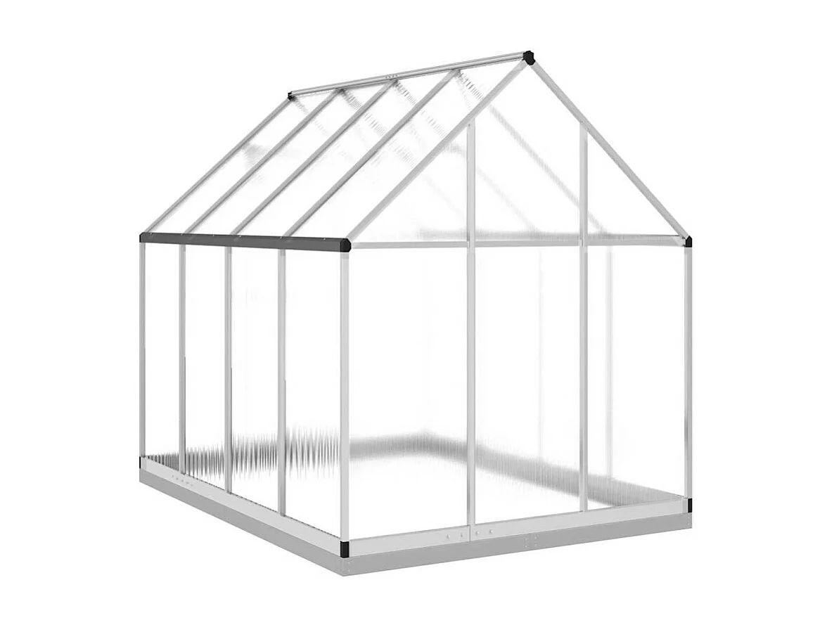 Serre avec cadre de base argenté 224x169x202 cm aluminium