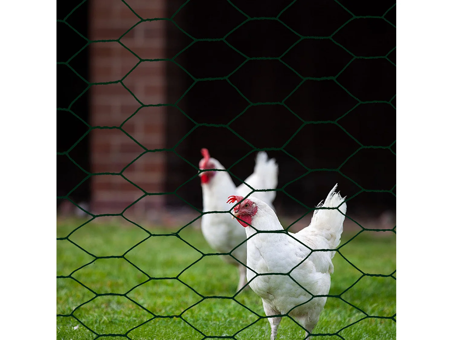 Rete Metallica Plastificata Esagonale Per Recinzione Pollaio Pollame Animali Piante Conigli Filo Verde Altezza 100 Cm Maglia 13 Mm Lunghezza 25 M