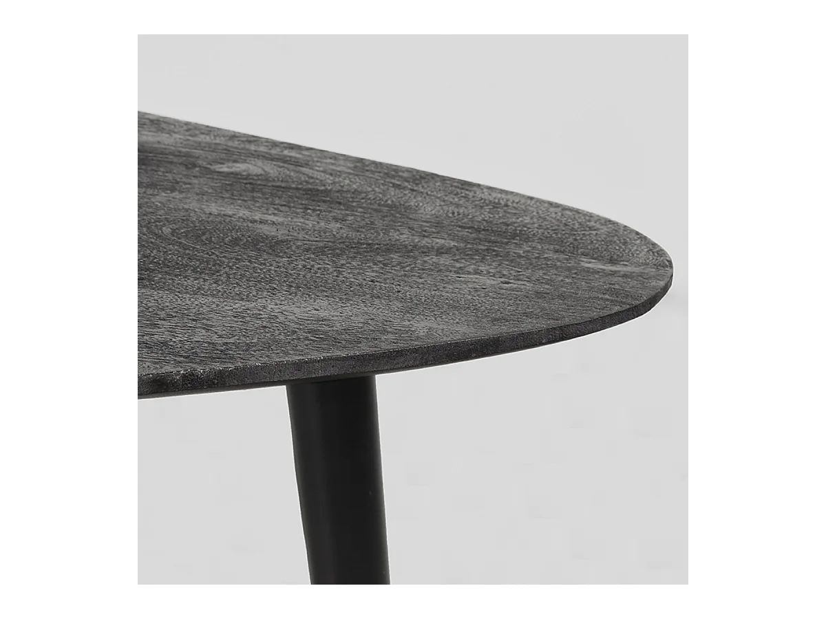 Table basse Rock 110x64x39 cm - Noir - Bois de manguier - Lot de 2