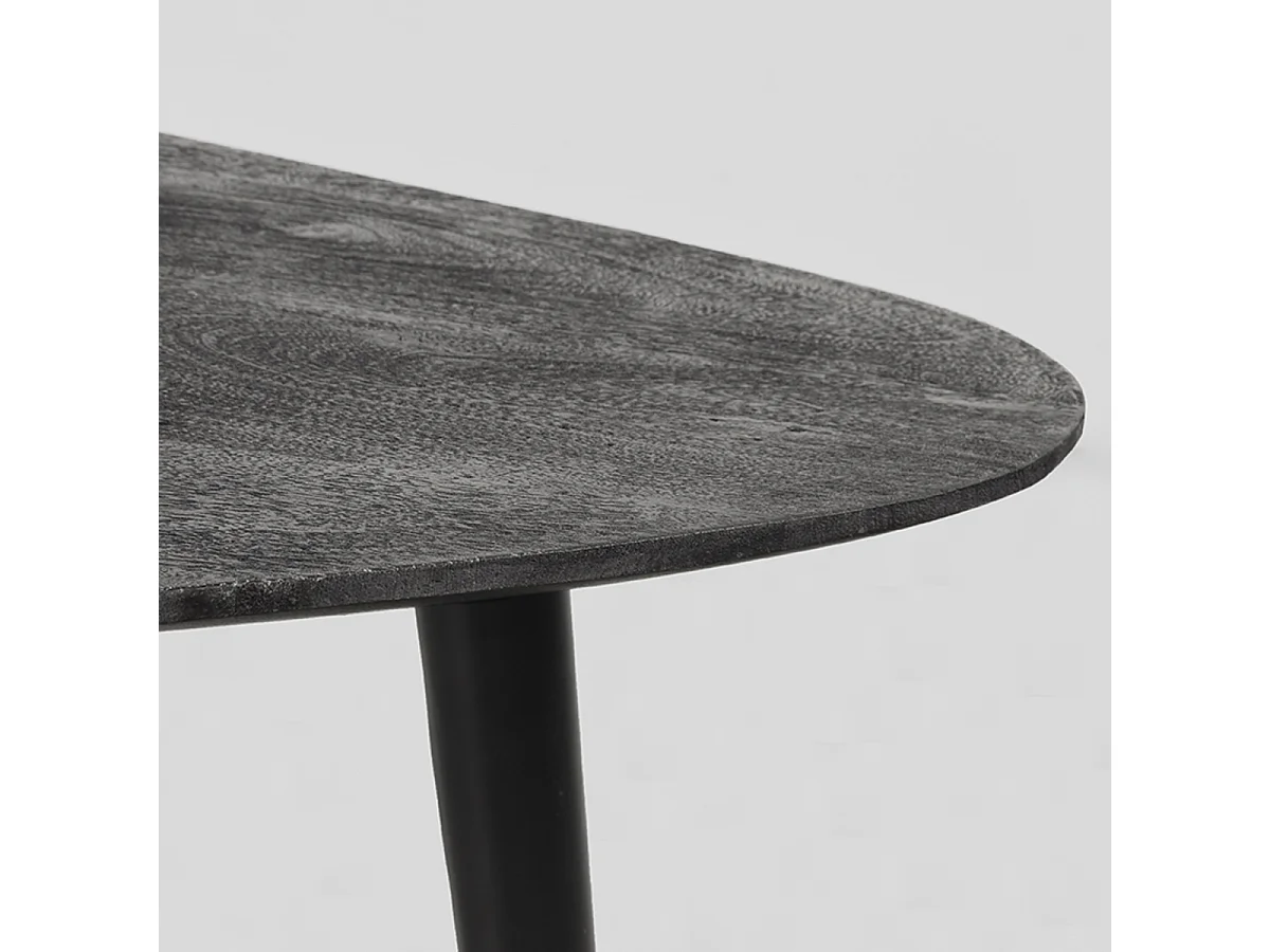 Table basse Rock 110x64x39 cm - Noir - Bois de manguier - Lot de 2