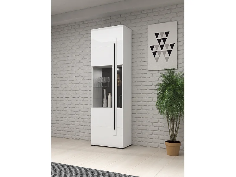 Vitrine avec une porte TULSA