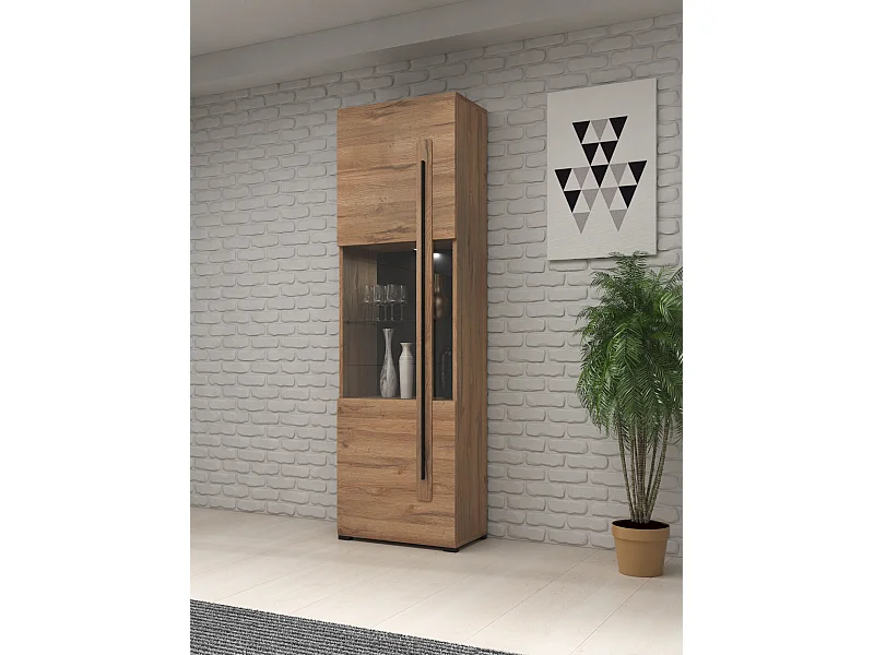 Vitrine avec une porte TULSA