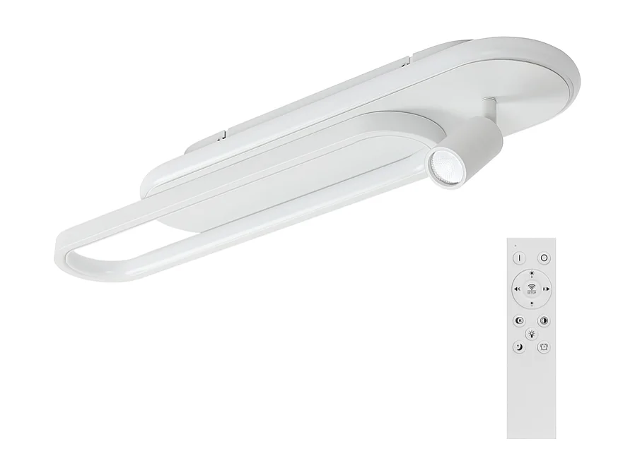 Plafonnier LED NETTLIFE blanc moderne à intensité variable avec 1 spot de plafond