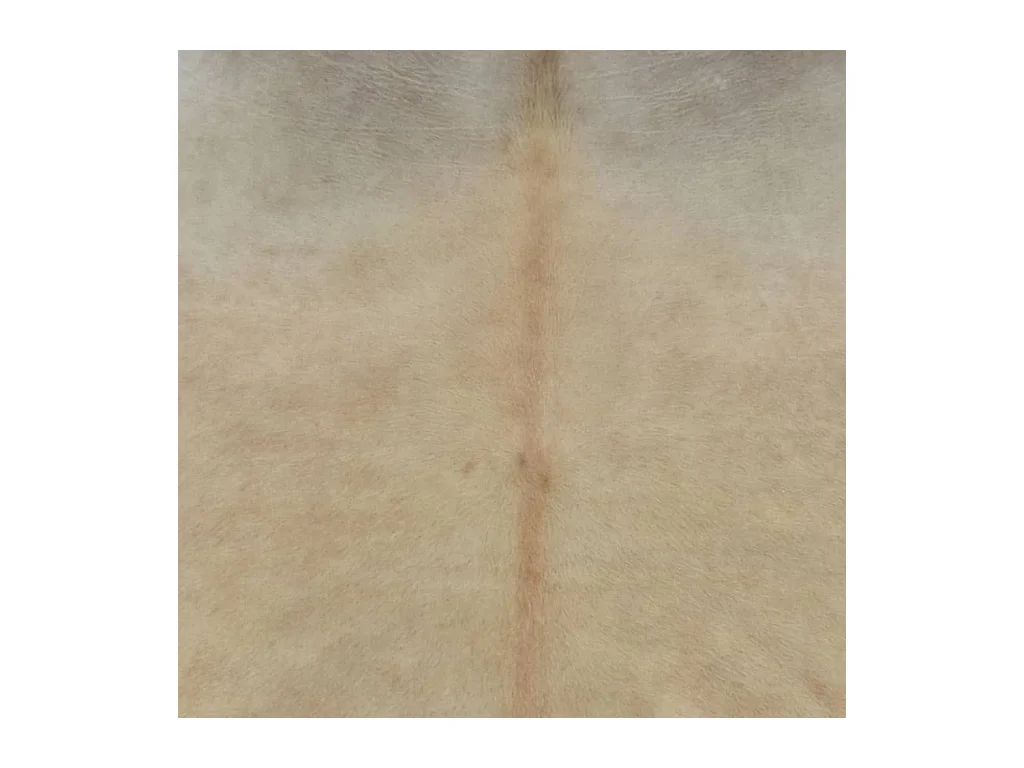 Ardpatrick  Alfombra de piel de vaca auténtica beige 150x170 cm