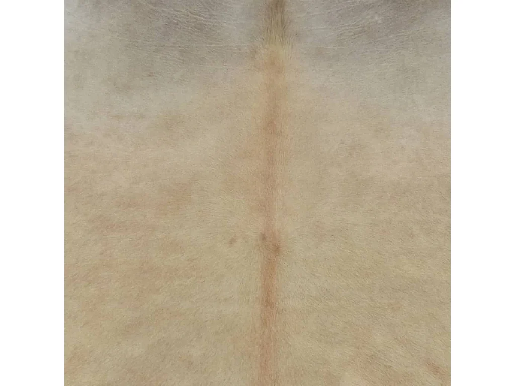 Ardpatrick  Tapis en peau de vache véritable 150 x 170 cm Beige