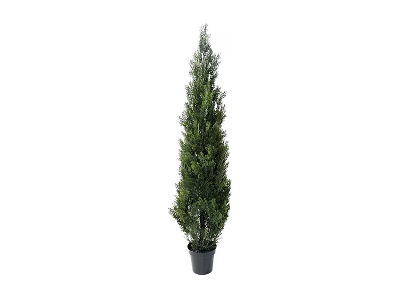 Plante artificielle haute gamme Spécial extérieur / Cyprès Artificiel Mini Vert - Dim : 180 x 45 cm