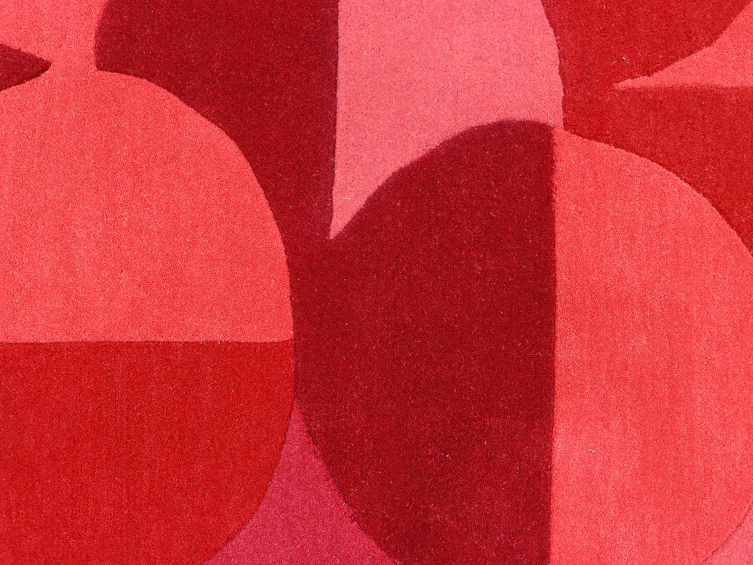 Tapis 100% laine tufté main - Rouge cerise- 160 x 230 cm - 2200g/m² - BLIVORA