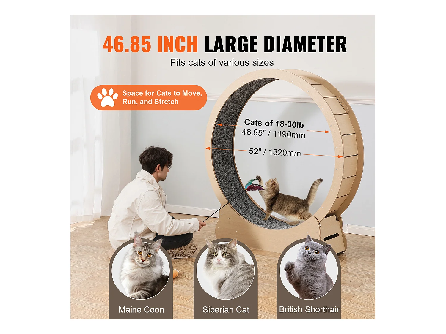 Roue d'Exercice Chat Grande en Bois SucceBuy, Roue de Tapis Roulant,132cm, Intérieur