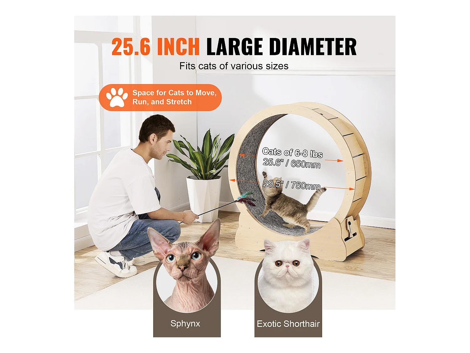 Grande Rueda de Ejercicio en Madera para Gatos SucceBuy, Rueda de Alfombra Rodante, 75cm, Interior