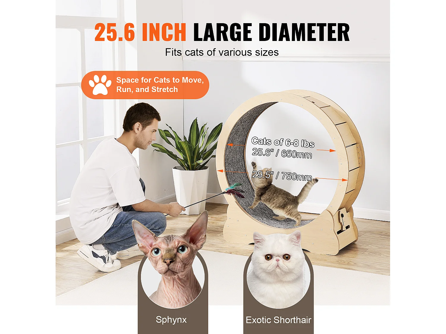 Roue d'Exercice Chat Grande en Bois SucceBuy, Roue de Tapis Roulant,75cm, Intérieur