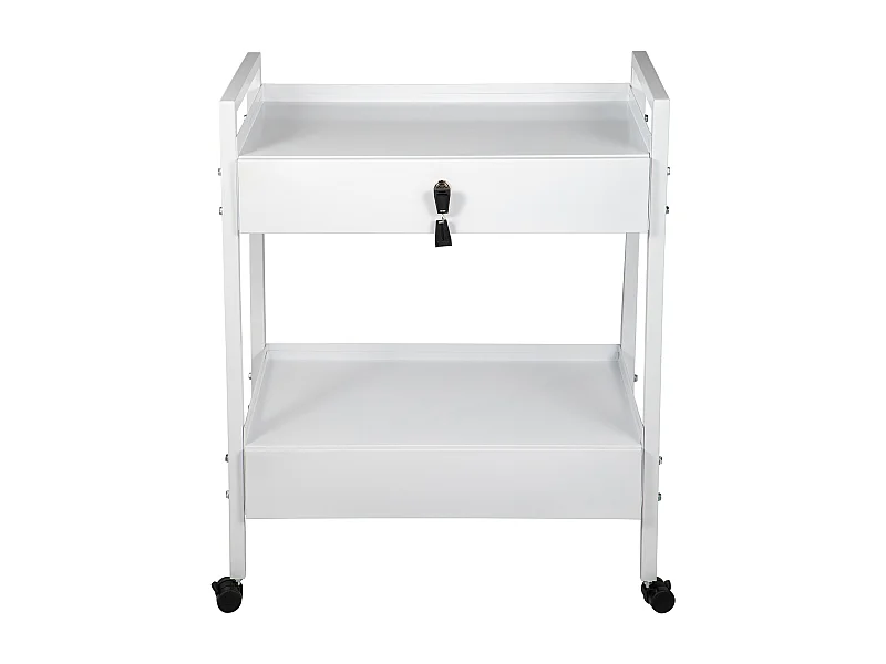 Werkzeugwagen SucceBuy Werkzeugwagen, Mobiler Servicewagen aus Stahl für Dentallabore, Rollwagen mit 2 Ebenen