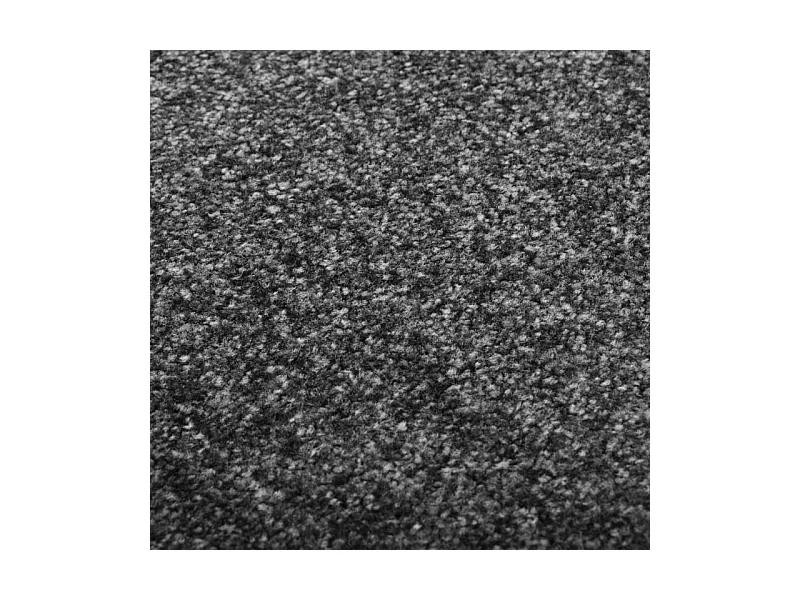 Fußmatte Waschbar Anthrazit 120x180 cm