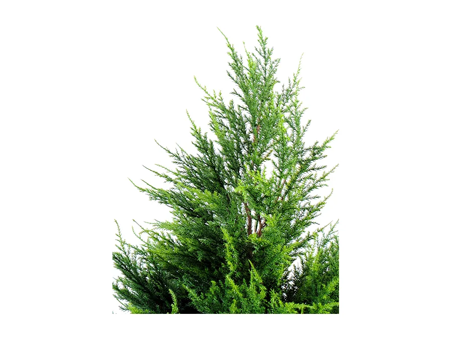 Plante artificielle haute gamme Spécial extérieur Cyprès coloris vert - Dim : 160 x 70 cm
