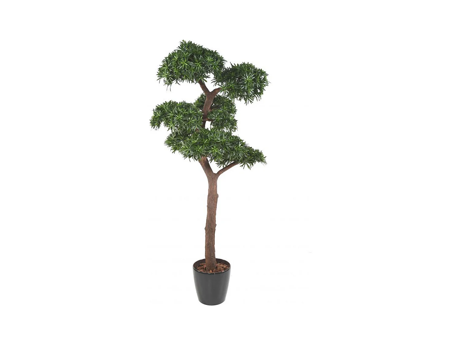 Plante artificielle haute gamme Spécial extérieur / PODOCARPUS BONSAI - Dim : 210 x 100cm