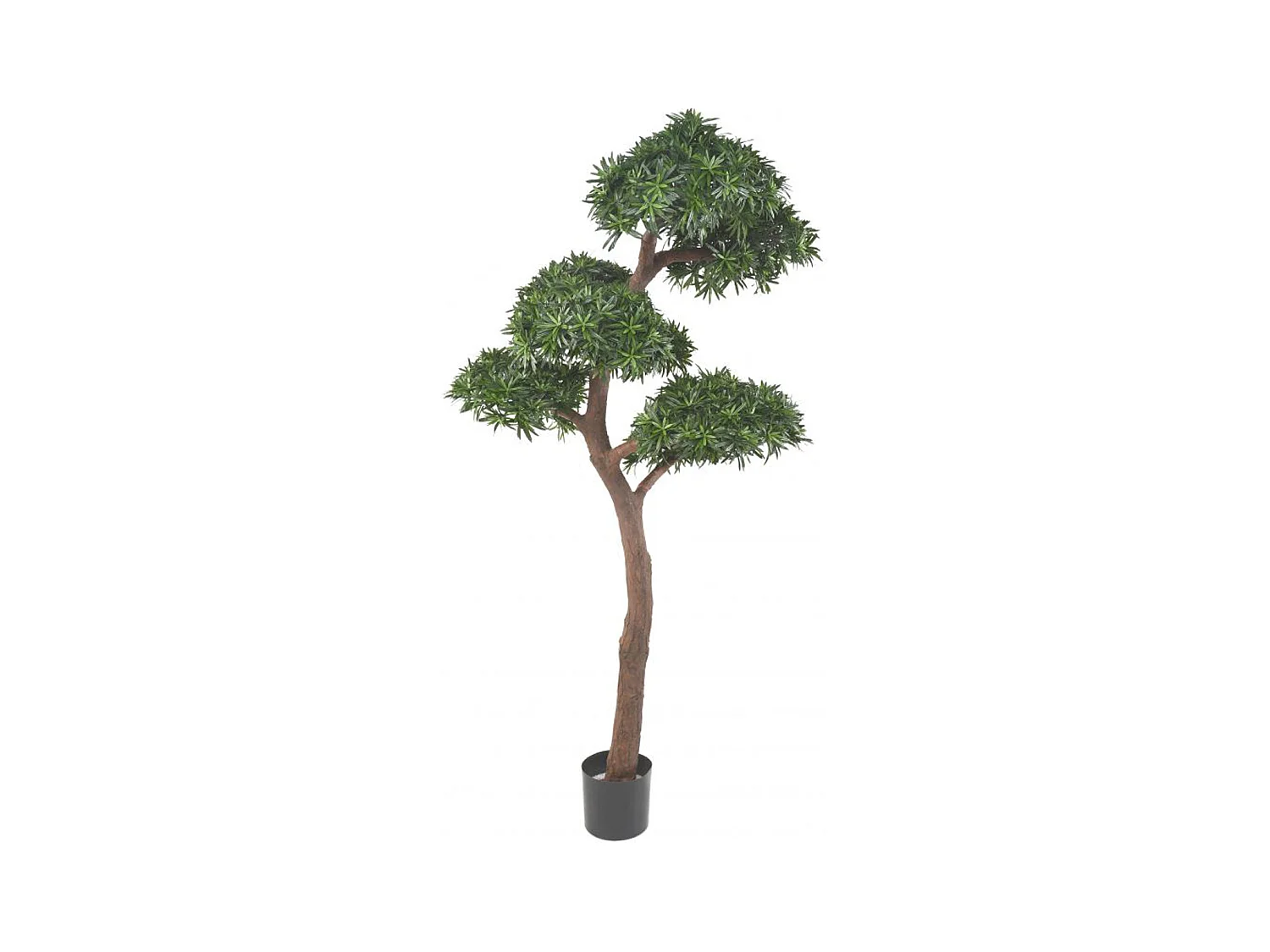 Plante artificielle haute gamme Spécial extérieur / PODOCARPUS BONSAI - Dim : 210 x 100cm