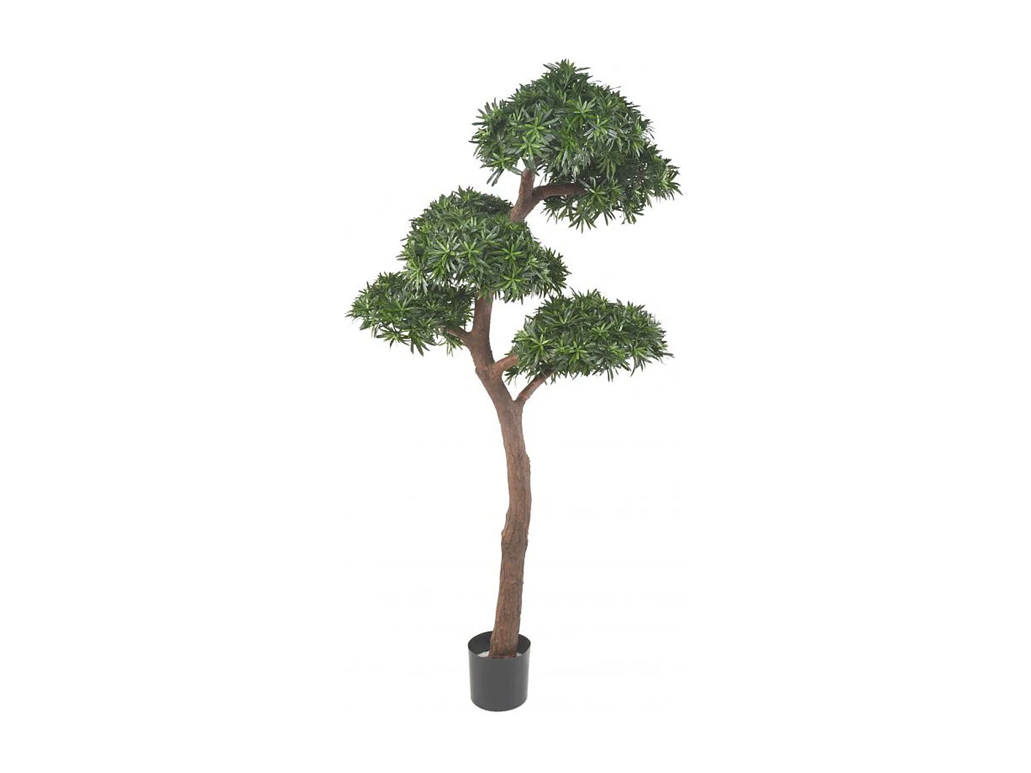 Plante artificielle haute gamme Spécial extérieur / PODOCARPUS BONSAI - Dim : 210 x 100cm