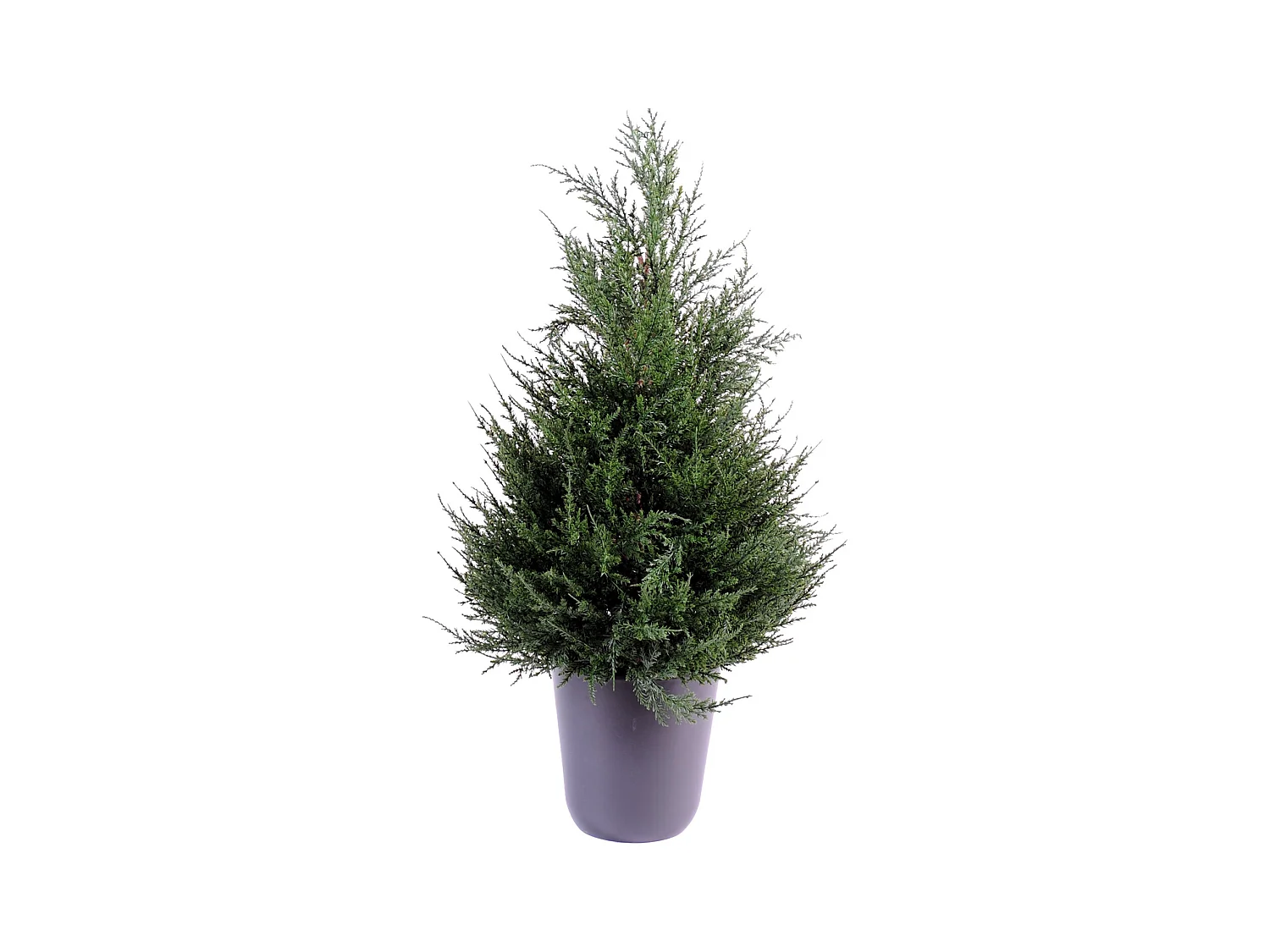 Plante artificielle haute gamme Spécial extérieur Cyprès coloris vert - Dim : 65 x 33 cm