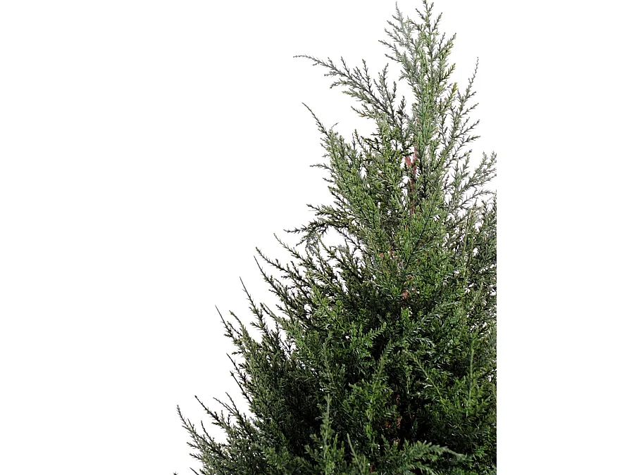 Plante artificielle haute gamme Spécial extérieur Cyprès coloris vert - Dim : 65 x 33 cm