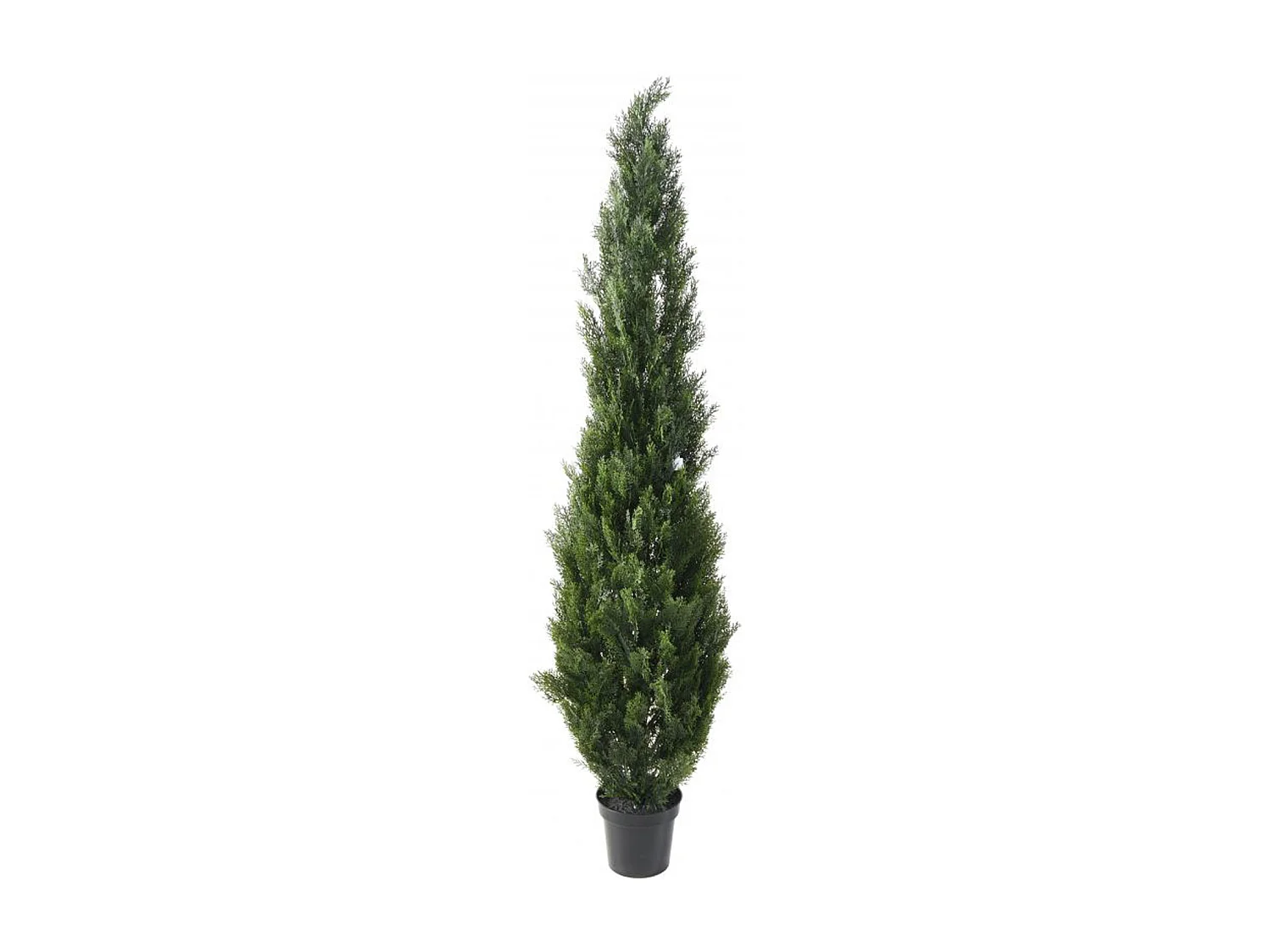 Plante artificielle haute gamme Spécial extérieur / Cyprès Artificiel Mini Vert - Dim : 210 x 50 cm