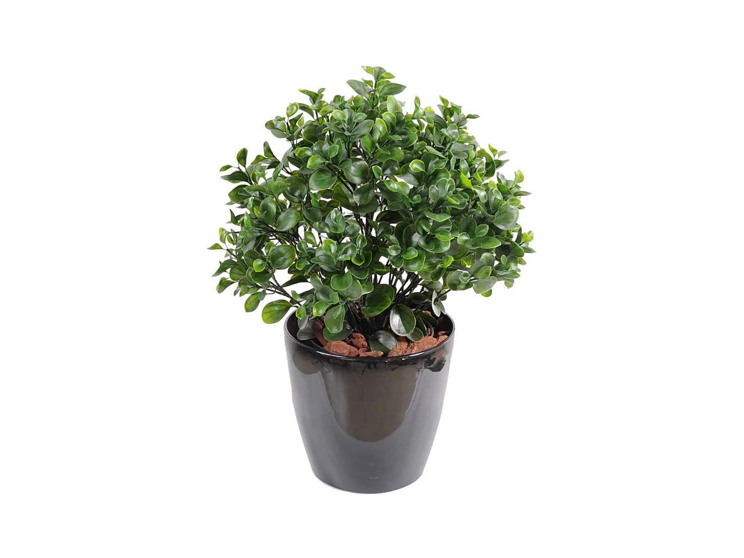 Plante artificielle haute gamme Spécial extérieur / Peperomia artificiel vert - Dim : 60 x 55 cm