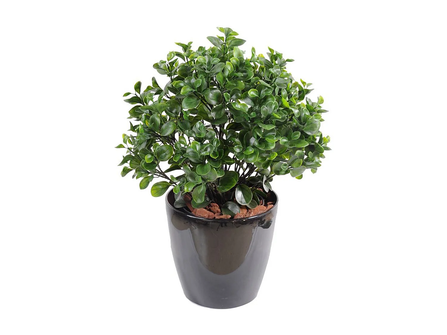 Plante artificielle haute gamme Spécial extérieur / Peperomia artificiel vert - Dim : 60 x 55 cm