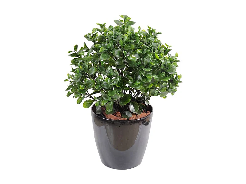 Plante artificielle haute gamme Spécial extérieur / Peperomia artificiel vert - Dim : 60 x 55 cm