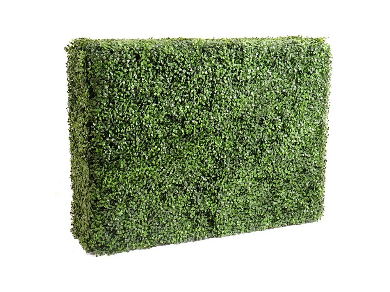 Plante artificielle haute gamme Spécial extérieur / Buis artificiel HAIE - Dim : 80 x 35 x 108 cm