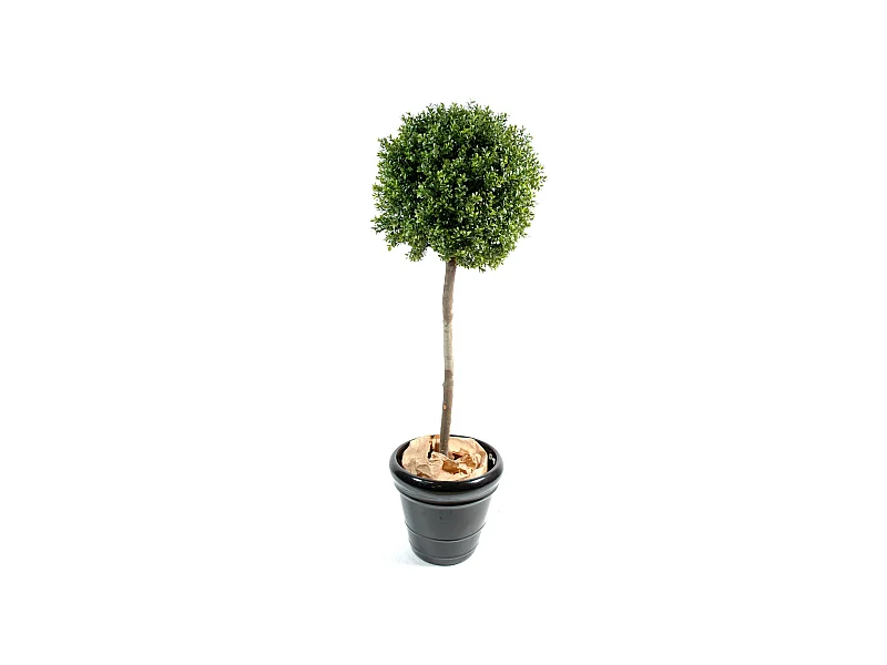 Plante artificielle haute gamme Spécial extérieur / Buis tige boule UV résistant - Dim : H.140 x D.50 cm