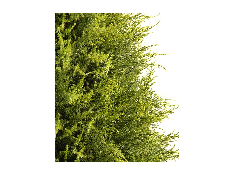 Plante artificielle haute gamme Spécial extérieur / Cyprès coloris vert - Dim : 135 x 60 cm
