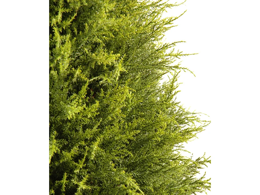 Plante artificielle haute gamme Spécial extérieur / Cyprès coloris vert - Dim : 135 x 60 cm