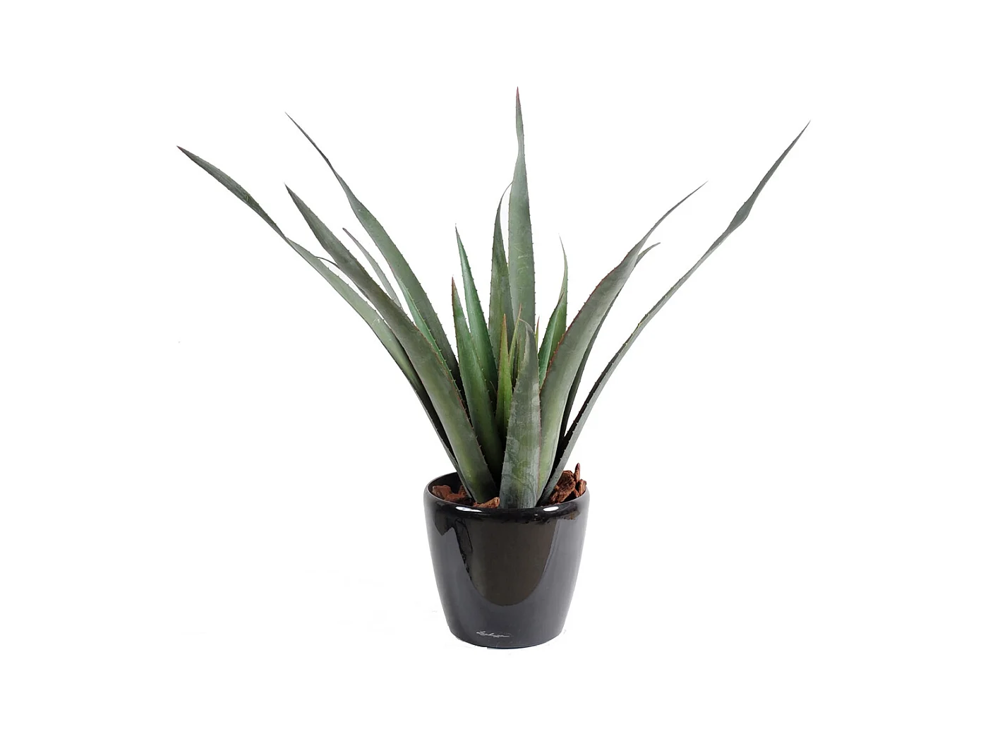 Plante artificielle haute gamme Spécial extérieur / Aloe artificielle ferox - Dim : 65 x 60 cm