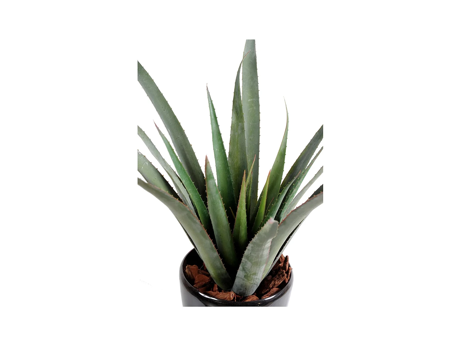 Plante artificielle haute gamme Spécial extérieur / Aloe artificielle ferox - Dim : 65 x 60 cm