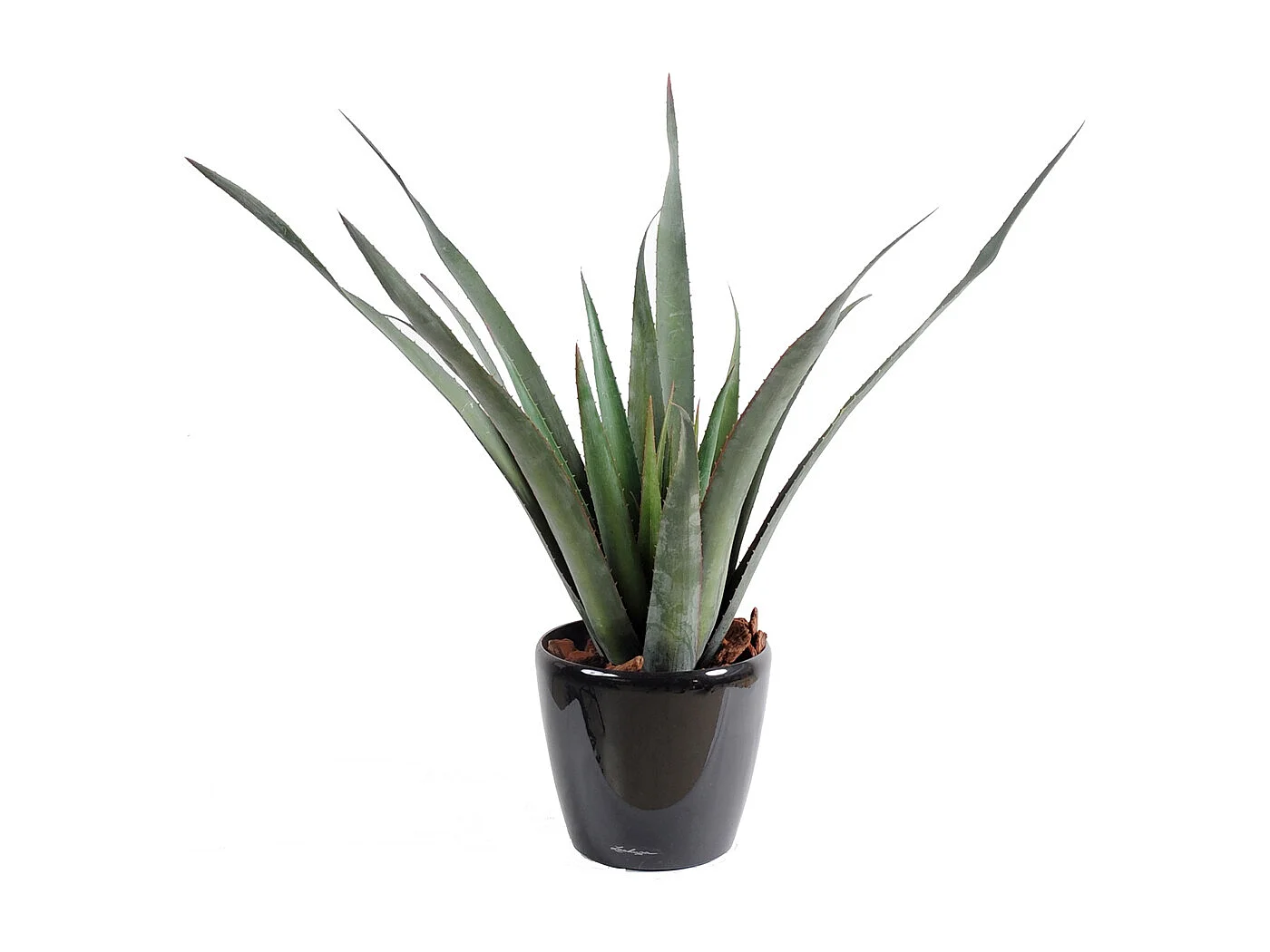 Plante artificielle haute gamme Spécial extérieur / Aloe artificielle ferox - Dim : 65 x 60 cm