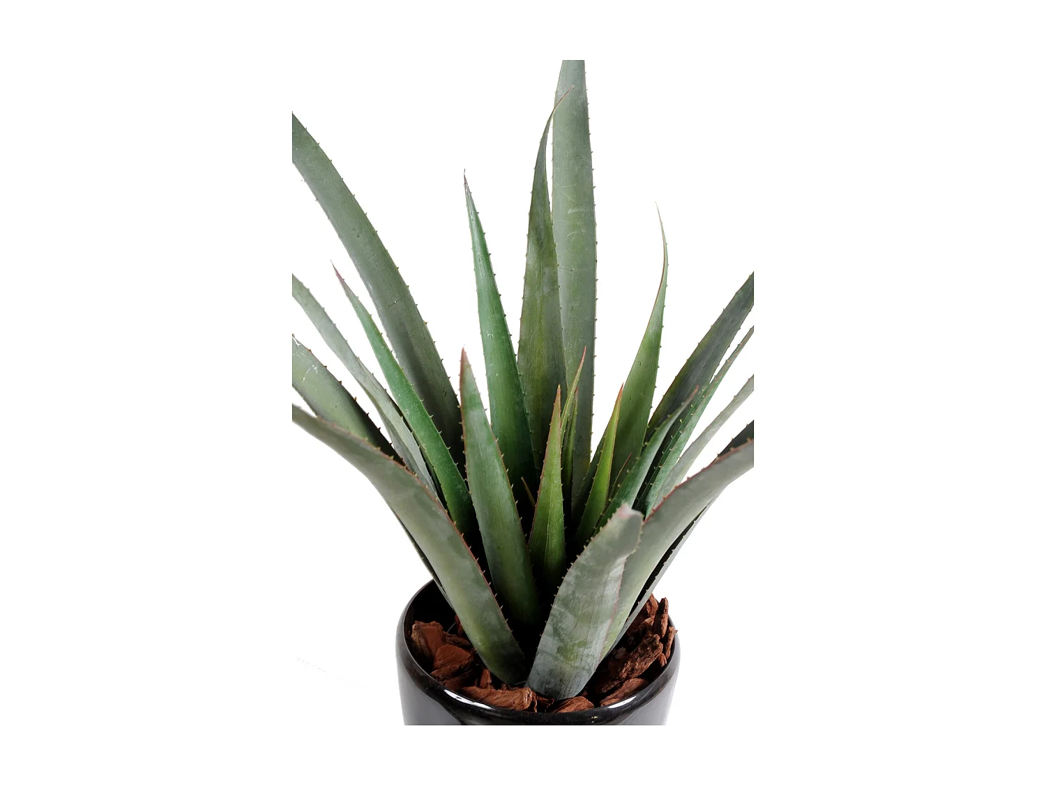 Plante artificielle haute gamme Spécial extérieur / Aloe artificielle ferox - Dim : 65 x 60 cm