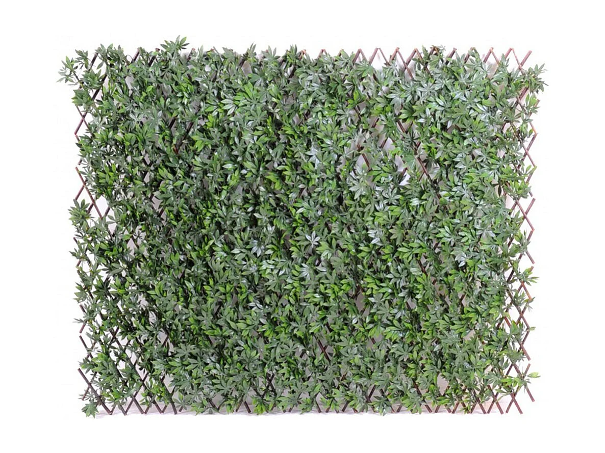 Plante artificielle haute gamme Spécial extérieur / ARALIA PALISSADE artificielle - Dim : 100 x 200 cm