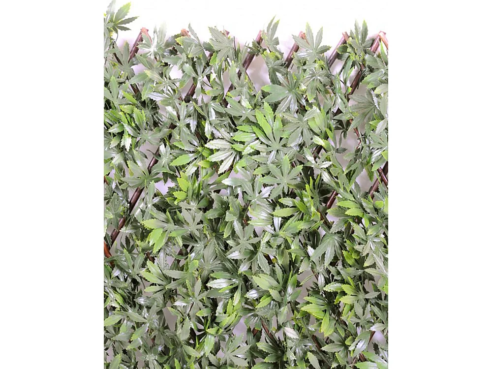 Plante artificielle haute gamme Spécial extérieur / ARALIA PALISSADE artificielle - Dim : 100 x 200 cm