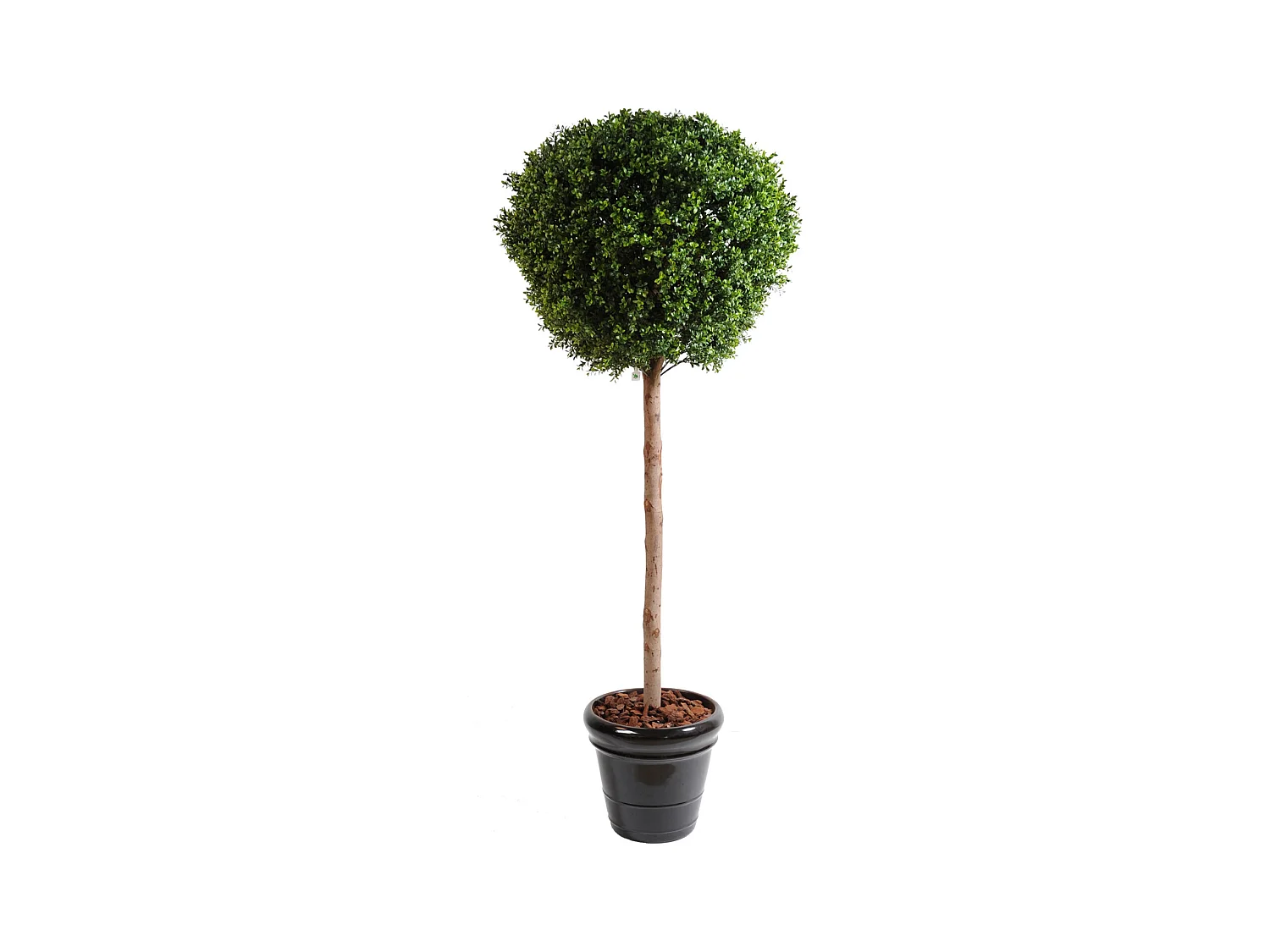 Plante artificielle haute gamme Spécial extérieur / Buis boule coloris vert - Dim : H.180 x D.80 cm