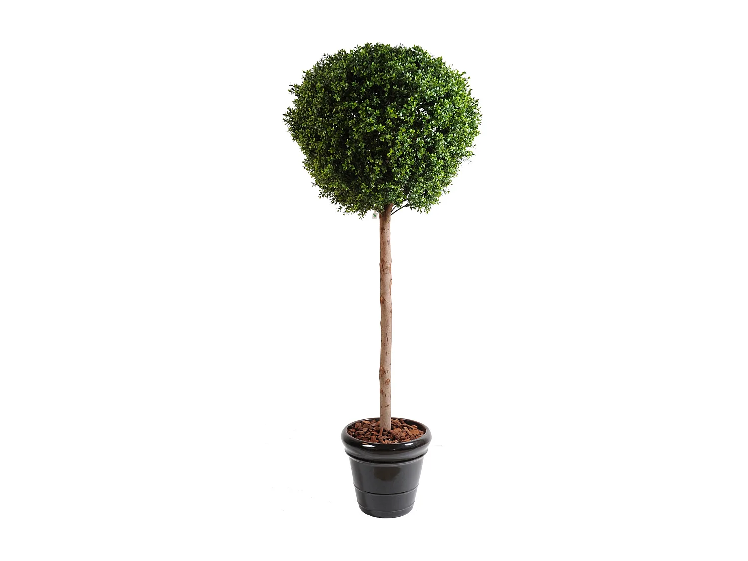 Plante artificielle haute gamme Spécial extérieur / Buis boule coloris vert - Dim : H.180 x D.80 cm
