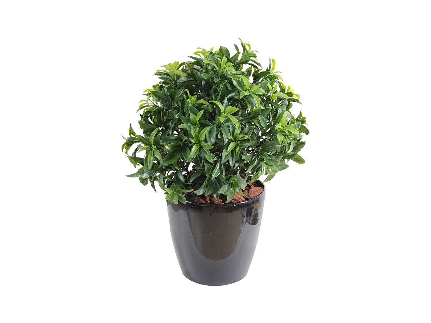 Plante Artificielle / Laurier artificiel Buisson - Dim : 70 x 58 cm