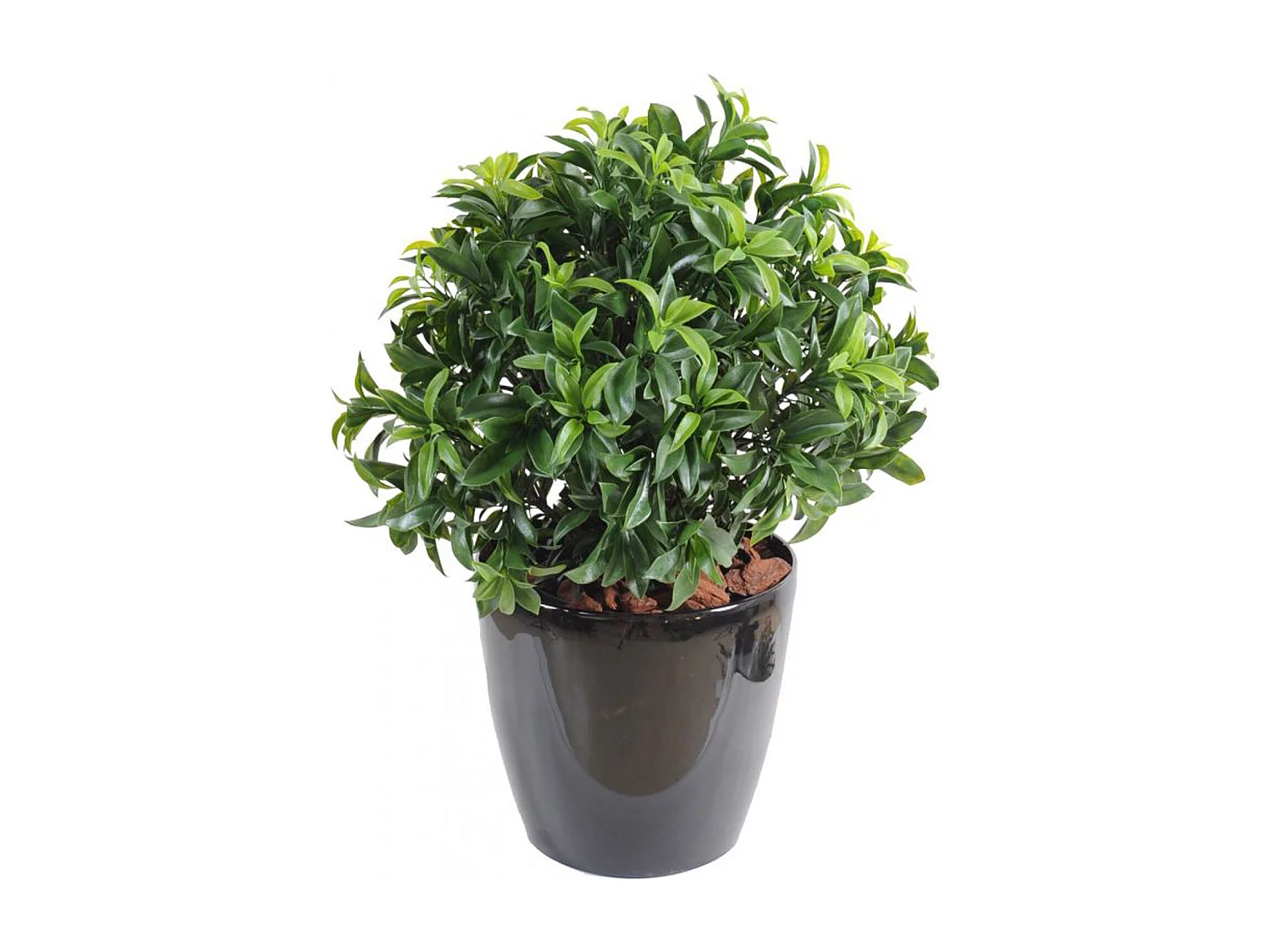 Plante Artificielle / Laurier artificiel Buisson - Dim : 70 x 58 cm