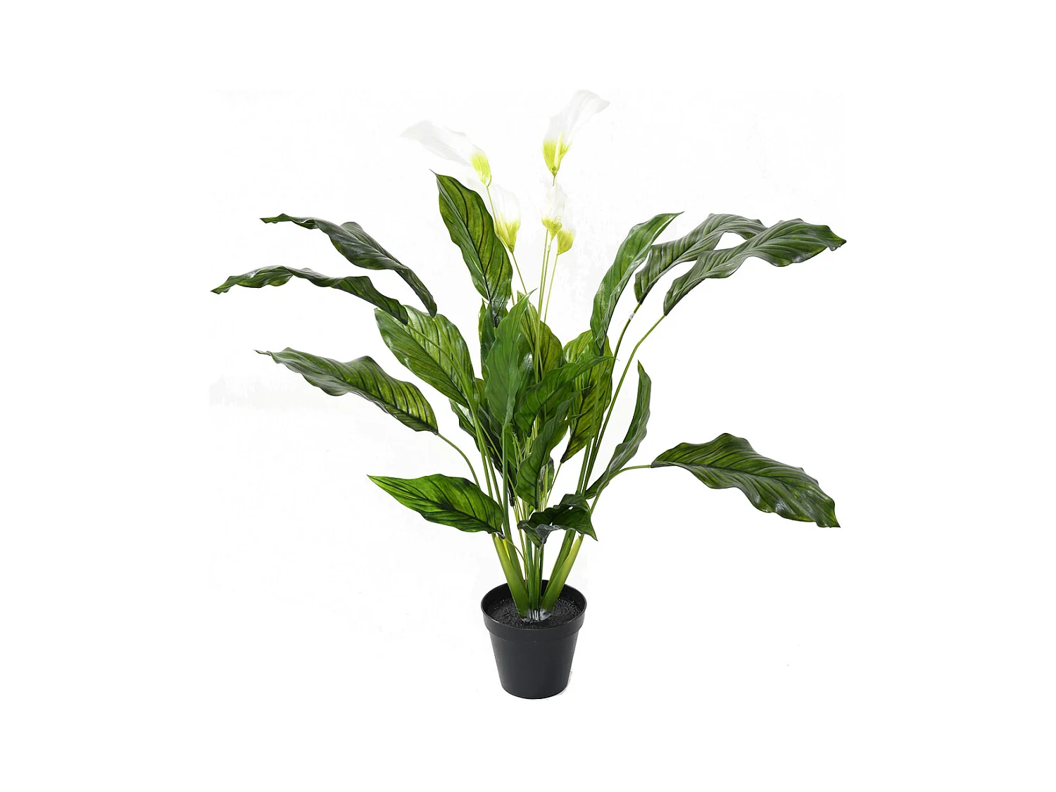 Plante artificielle haute gamme Spécial extérieur / SPATHIPHYLLUM Artificiel - Dim : 90 x 80 cm