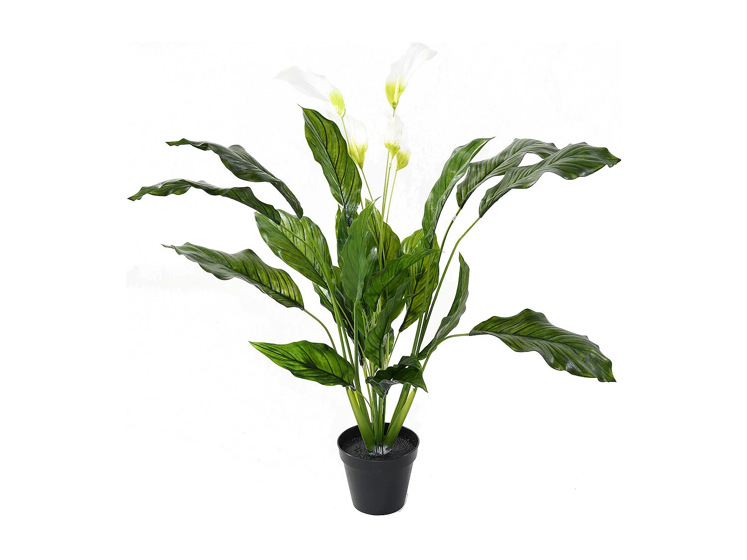 Plante artificielle haute gamme Spécial extérieur / SPATHIPHYLLUM Artificiel - Dim : 90 x 80 cm