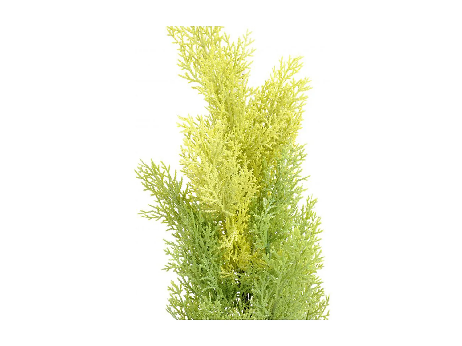 Plante artificielle haute gamme Spécial extérieur / Cyprès artificiel coloris vert/jaune - Dim : 60 x 20 cm