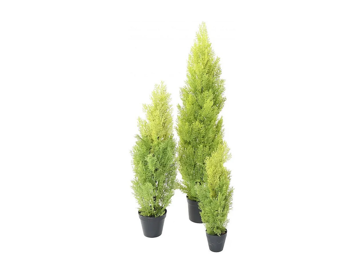 Plante artificielle haute gamme Spécial extérieur / Cyprès artificiel coloris vert/jaune - Dim : 60 x 20 cm