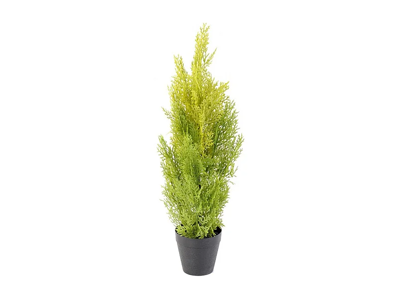 Plante artificielle haute gamme Spécial extérieur / Cyprès artificiel coloris vert/jaune - Dim : 60 x 20 cm