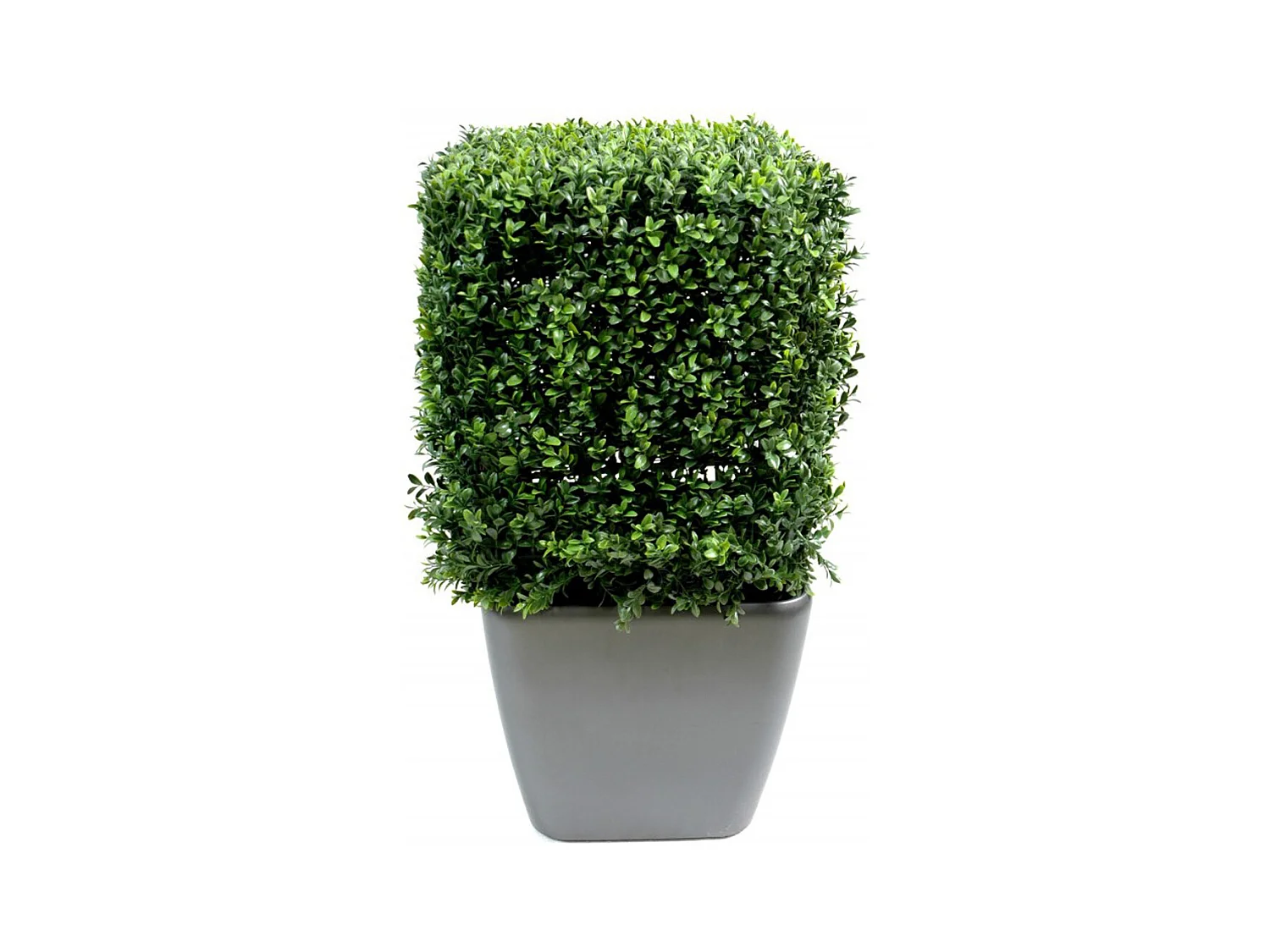 Plante artificielle haute gamme Spécial extérieur, Buis carré artificiel couleur vert - Dim : 50 x 32 x 32 cm